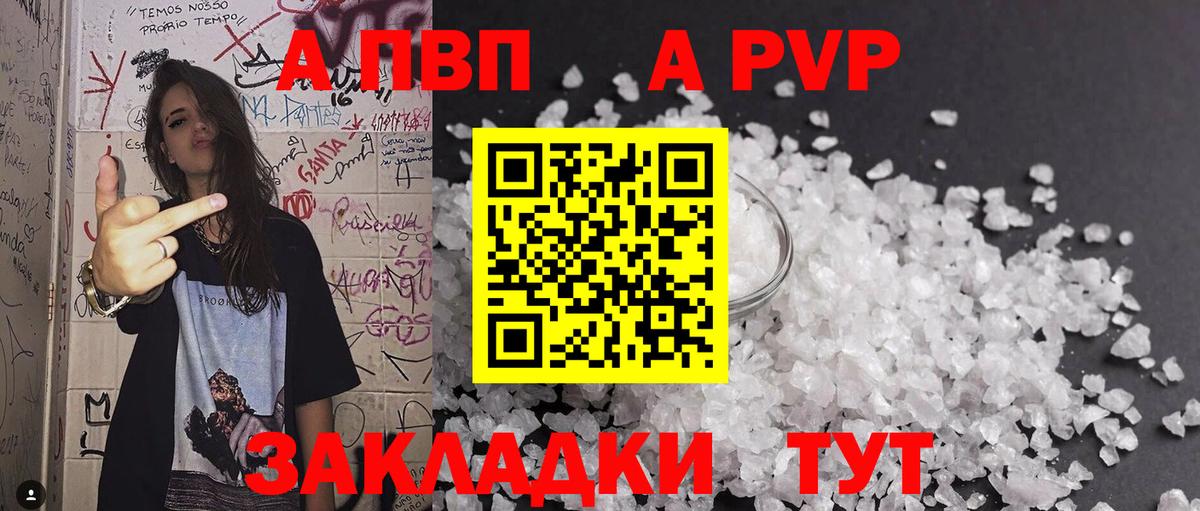 Альфа ПВП СК Камень-на-Оби