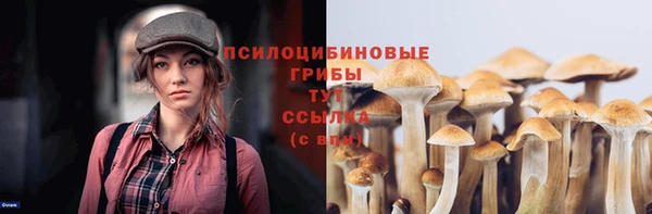 меф Надым