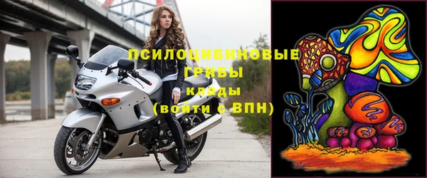 стафф Новокубанск