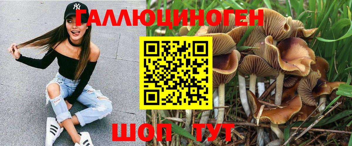 Галлюциногенные грибы MAGIC MUSHROOMS Камень-на-Оби