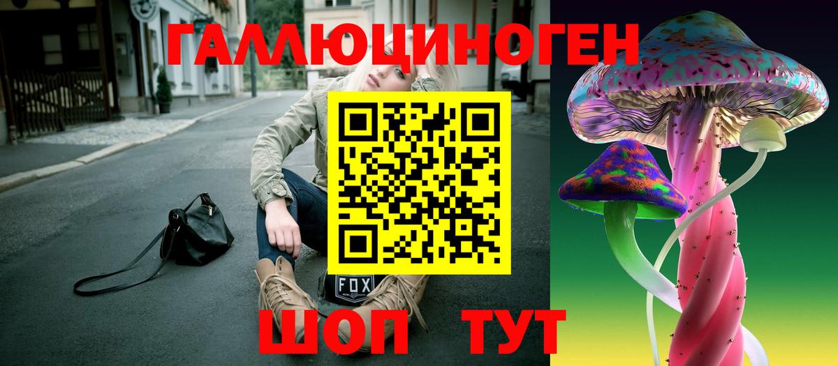 Псилоцибиновые грибы MAGIC MUSHROOMS  Вход с VPN  Камень-на-Оби 