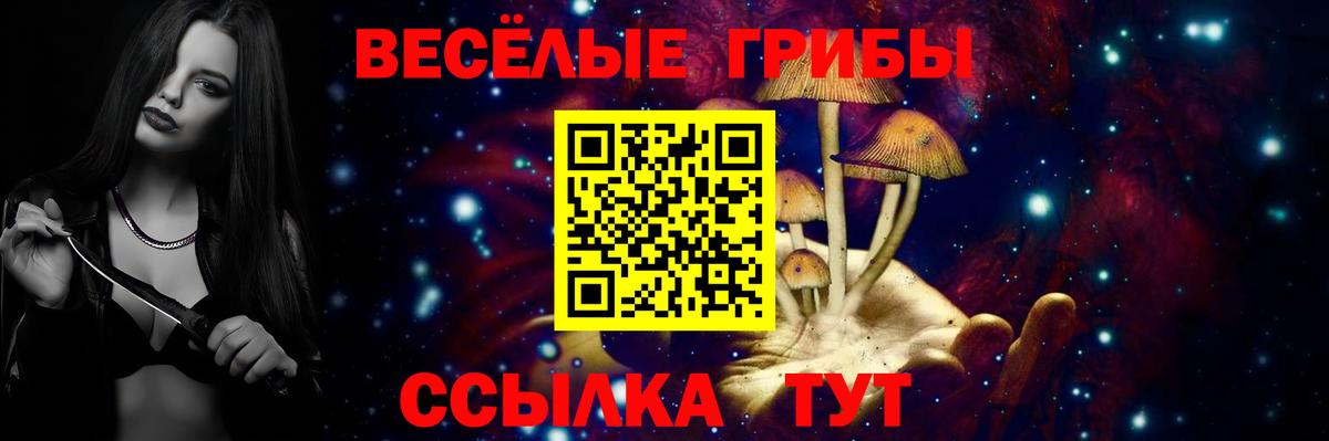 Псилоцибиновые грибы прущие грибы  Галлюциногенные грибы GOLDEN TEACHER  Камень-на-Оби 